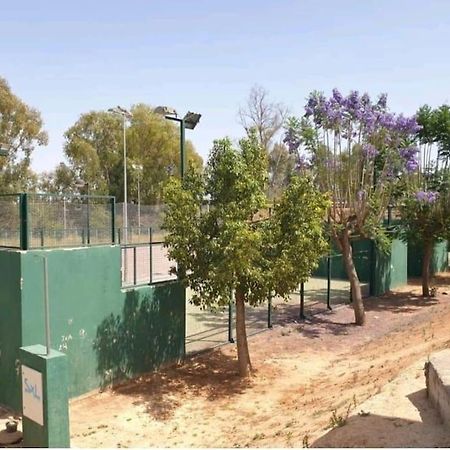 Alojamiento Con Piscina Y Parking En Sevilla La Algaba Exterior photo